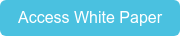 Access White Paper